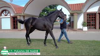 17 FULANA DE NADIE