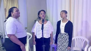 CITY! - Assitie Virrie Here Wassi | Cover.