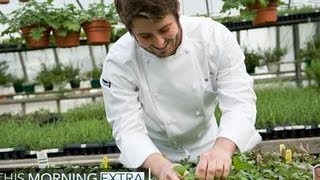 Farm to table is part of chef Will Gilson's blood
