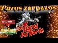 puros zarpazos//LOS TIGRES DEL NORTE