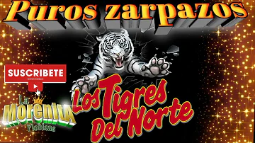 puros zarpazos//LOS TIGRES DEL NORTE