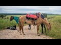 Adventure with two Mustangs and Estella through France - ღ  Si jamais j'oublie ღ