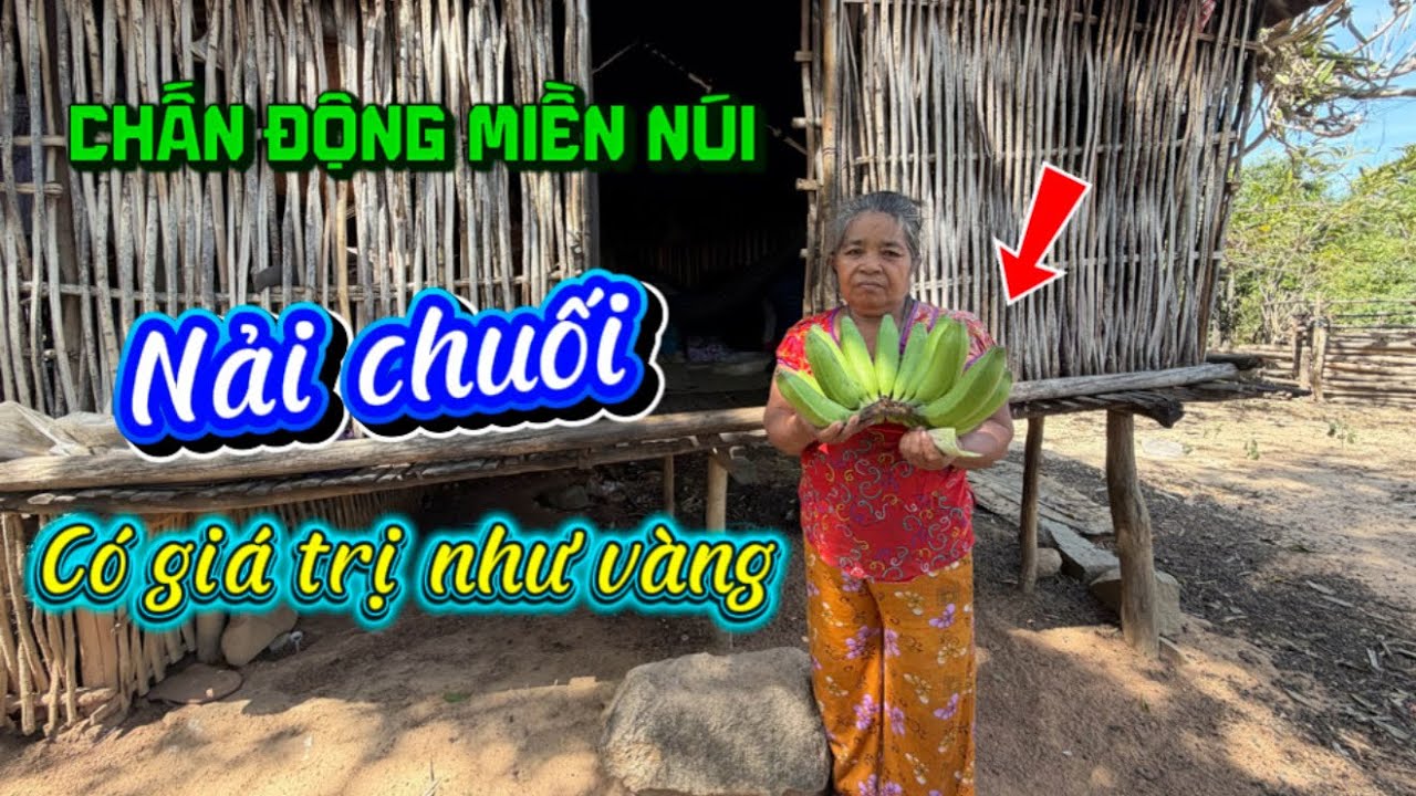 Chấn động miền núi nải chuối  của bà cô vùng cao quý như vàng.