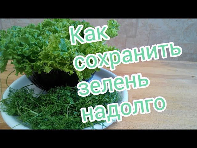 Как сохранить зелень в холодильнике свежей надолго