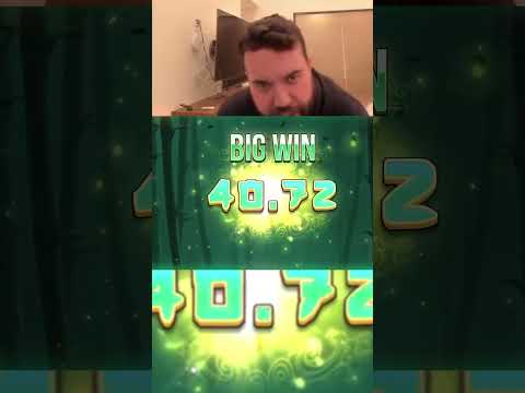 Gioca al Big Bamboo Slot: Scopri Dove Trovarlo nei Migliori Casino Online Italiani
