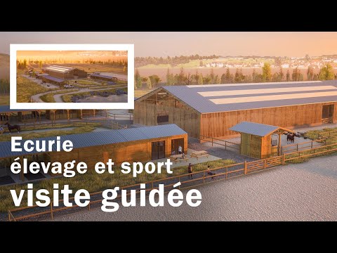 Visite guidée d'une écurie d'élevage et de sport