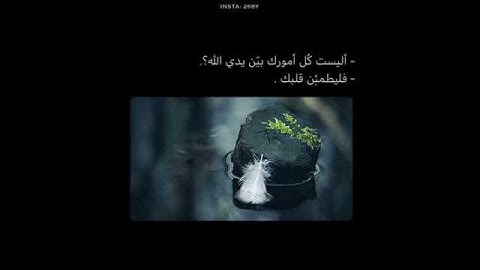 قرآن كريم بصوت القارئ: عبدالرحمن مسعد || أجمل حالات واتس اب دينيه || تلاوة خاشعة 🌿