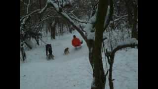 DSCF3904