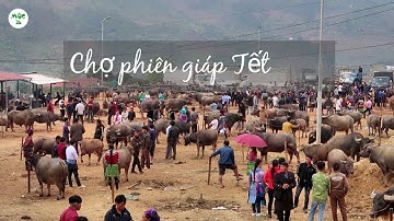 Bản sắc chợ phiên Tây Bắc những ngày giáp Tết - Chợ phiên Cốc Ly | MỘC 26
