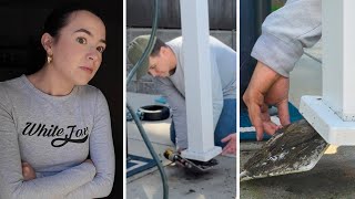 We Tried To Save The Bird Stuck In Our Pergola