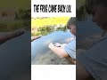 Epic Funny Moments: Feel Good Laughs! 😂 #shorts #viral #meme