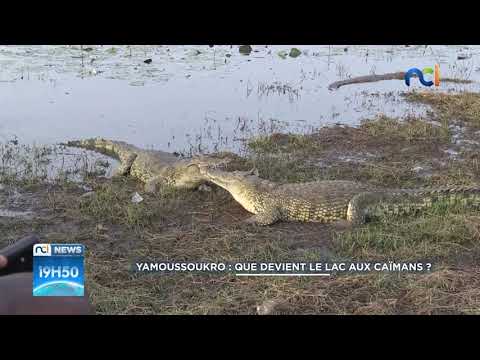 Yamoussoukro : que