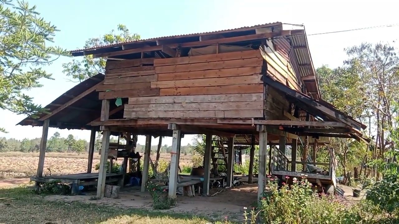 วิถีอิสานเถียงสมัยก่อนแต่พ่อแต่แม่พุ่นล่ะคับชึ่งหาดูย้ากแล้วคับ