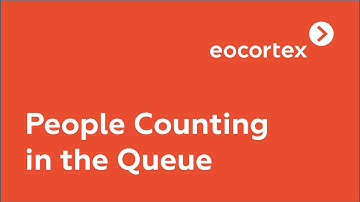 People Counting in the Queue