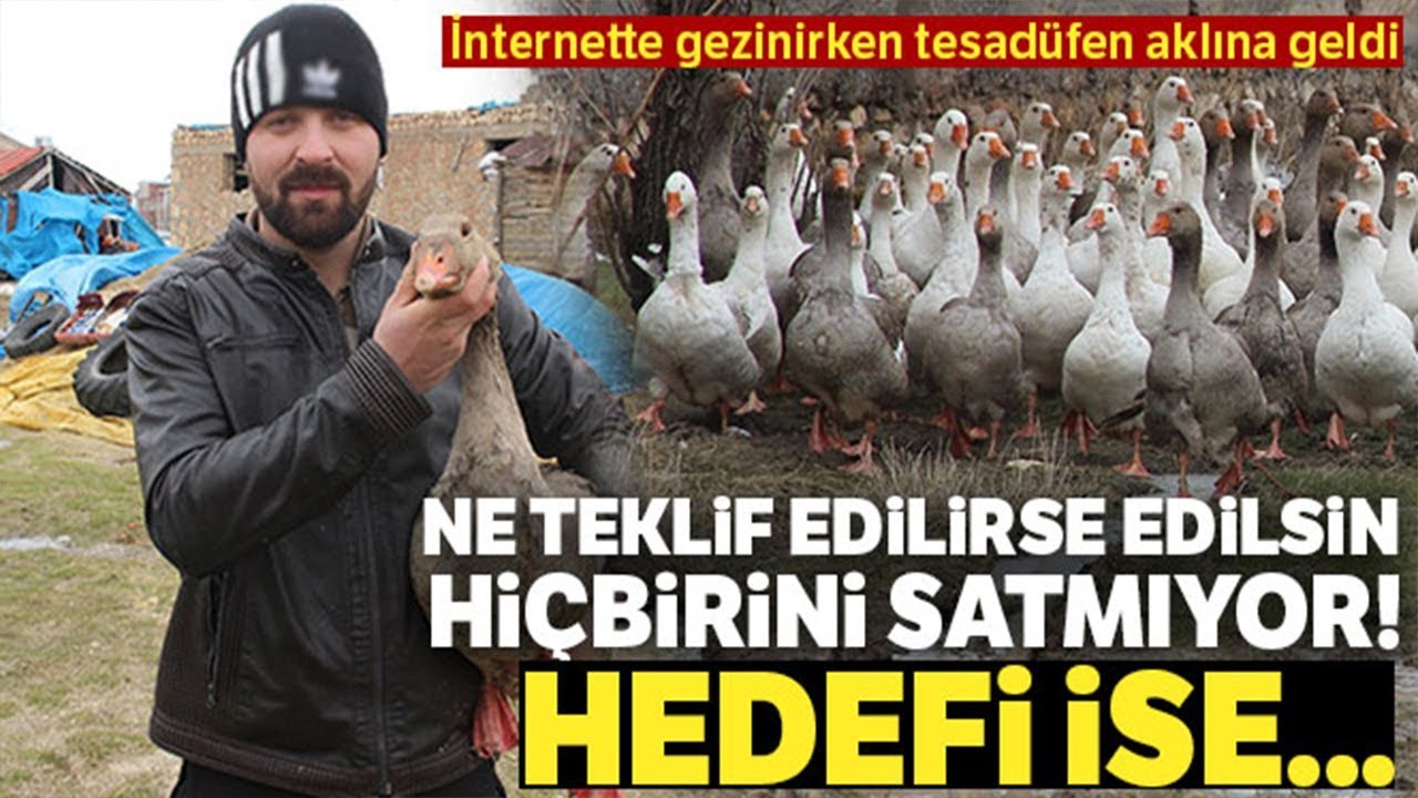 ne teklif edilirse edilsin kazlarini satmiyor youtube