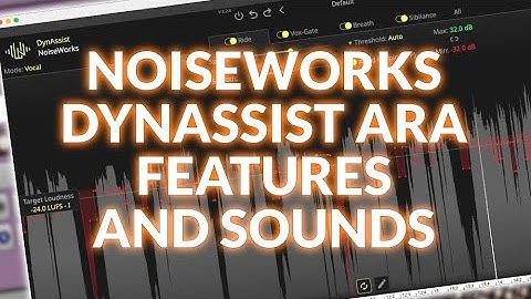 NoiseWorks Audio DynAssist - We Check It Out Using ARA For Pro Tools