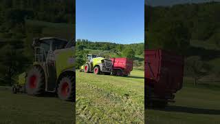 Grasernte 2025 – 1. Schnitt | Silage häckseln mit Claas Jaguar 970,  Case IH 185  #farming