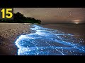 TOP 15 Most Unique Natural Phenomena In The World