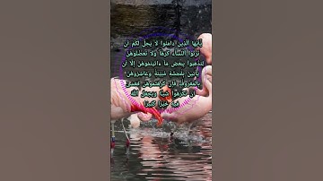 سورة النساء ٠٤:١٩ ترجمة القرآن الكريم تلاوة جميلة