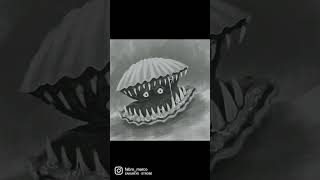Inktober 2022 'Scallop' Inktober 2022 'Scallop'