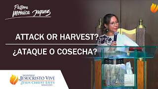ATTACK OR HARVEST? - ATAQUE O COSECHA?