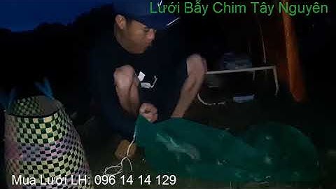 Lươi Bẫy Chim Đêm. Bẫy Các Loại Gà Đồng,Cúm Núm,Rẽ Giun, Vịt Trời... Đơn Gỉan Hiệu Qủa Cao.