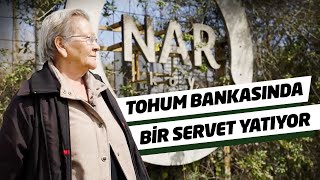 Gelecek Nesiller için Tohum Biriktiriyor