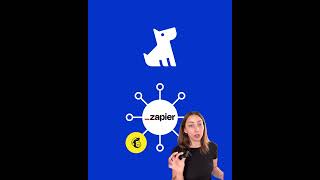 Fergus x Zapier Integration