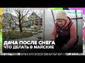 Дача после снега: что срочно сделать в майские, чтобы не потерять урожай — Москва 24