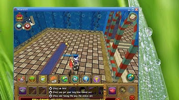 how to make carpets float in Wizard 101