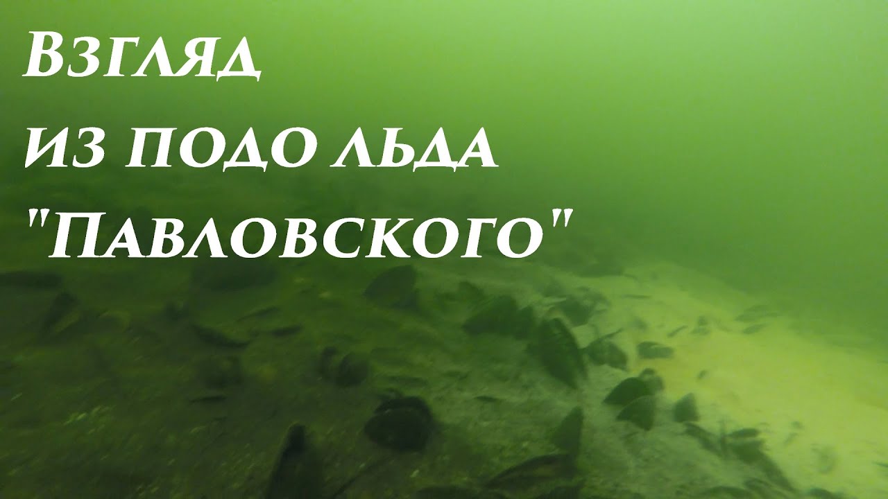 Рск павловский карта