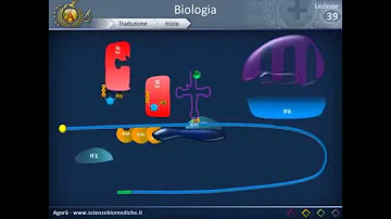 Cosa vuol dire Normie?
