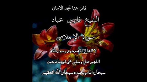 سورة الإخلاص | الشيخ فارس عباد، استغفر الله العظيم واتوب اليه ❤️❤️(4)