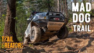 Mad Dog Trail Review | Technical Off-Road Trail in Cherokee National Forest screenshot 4