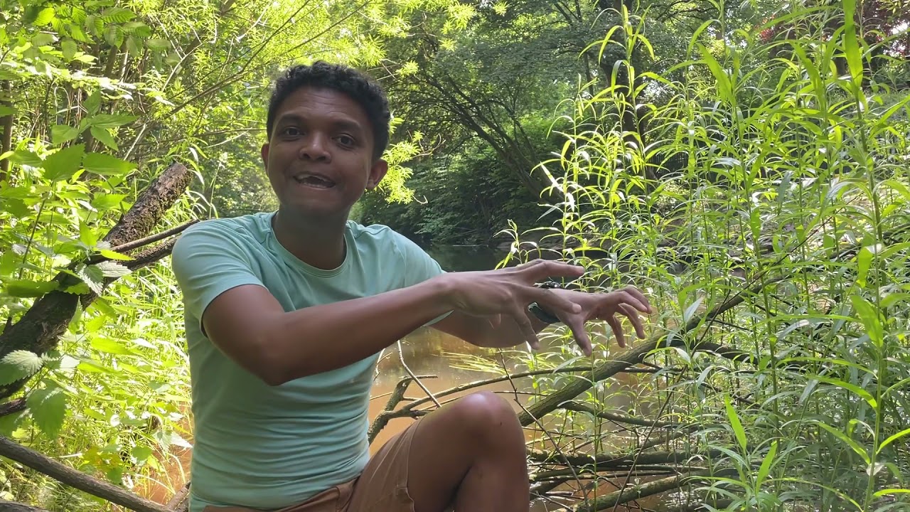 WINNER sa LOSER? Mpandresy ianao sa resy lava?