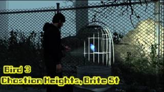 Silent Hill Downpour: Bird Man Trophy/Achievement - HTG screenshot 3