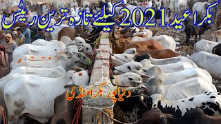 Eid ul Azha 2021 Cattle Market Rates Update | Cow Mandi 2021|Bakra Mandi 2021|Wacha Mandi|Wacha Farm