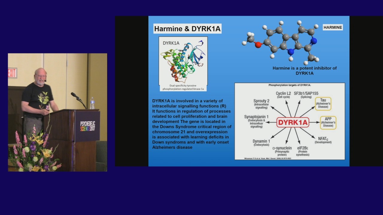 Dennis Mckenna Beyond Ayahuasca Occurrence Biological Activities Of Natural Ss Carbolines Youtube
