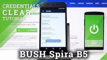 How to Clear Credentials in BUSH Spira B5 – Remove Certificates / Licenses