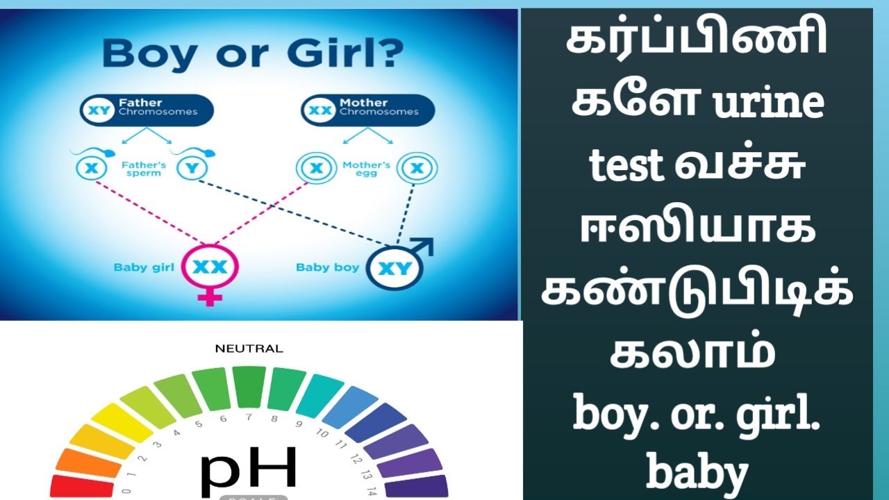 During pregnancy urine test pH leval gender pridiction in boy and
