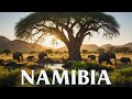 Wonders Of Namibia The Best Places In AFRICA Travel Video 4K