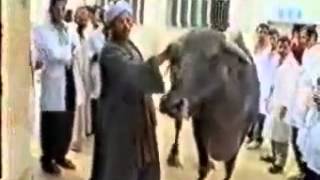 T.pericarditis In Buffalo