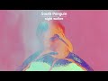 South Penguin - night walker (Official Lyric Video)