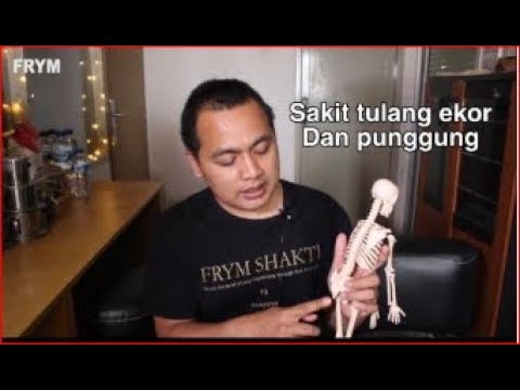 Sakit Tulang Ekor & Punggung