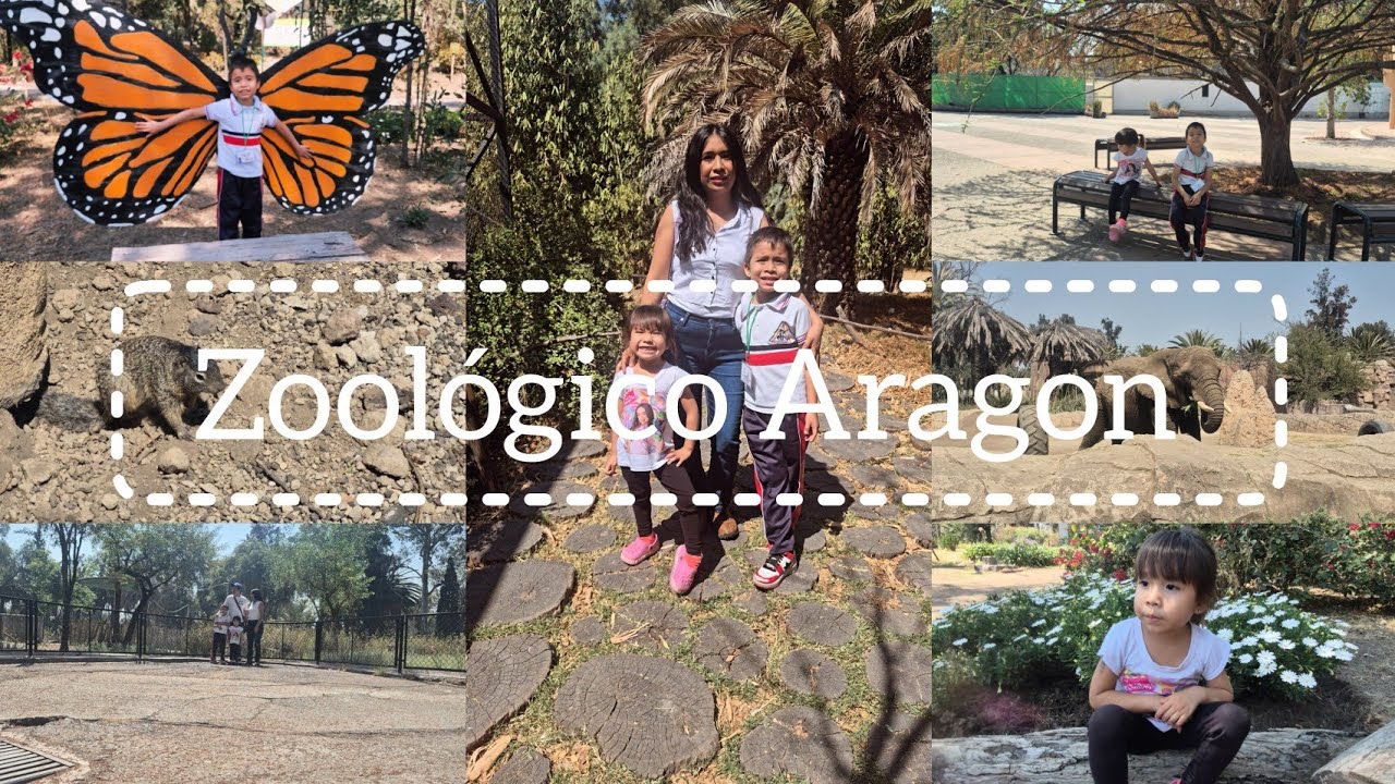 Zoológico Aragon | Nos vamos de excursión 