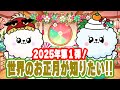 【子どものギモン】HAPPY NEW YEAR!世界のお正月を知りたい！ピンクルシルキーOMG#नए साल का दिन #Hari Tahun Baru #새해 첫날