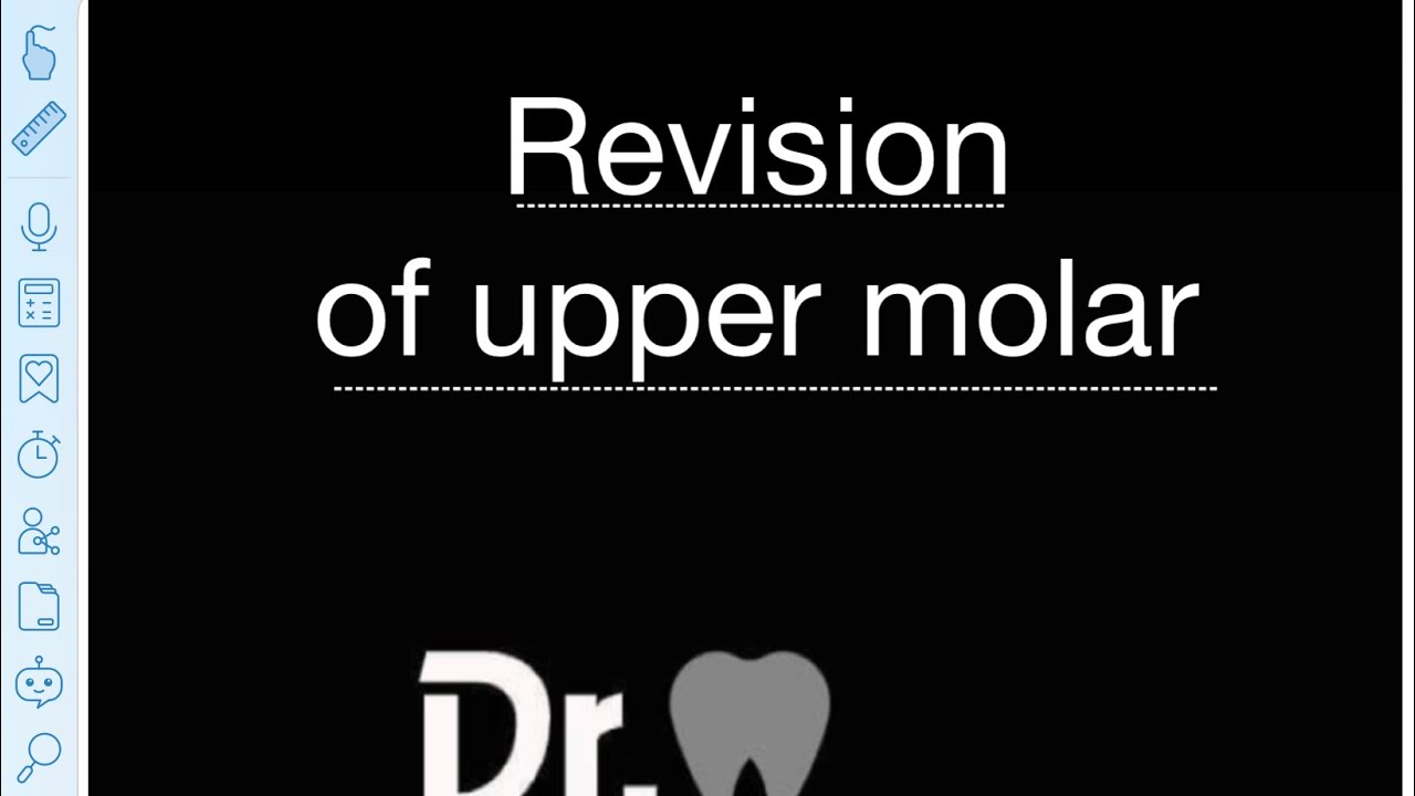 Revision of upper molars [د-علي]