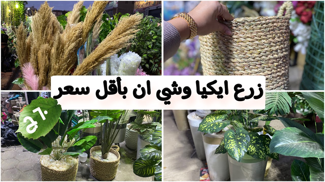 زرع ايكيا وشي ان بربع السعر 🪴بوتات زرع صناعي من ٦٠ ج 🪴خوص -هيش ورد وشجر صناعي بسعر الجملة