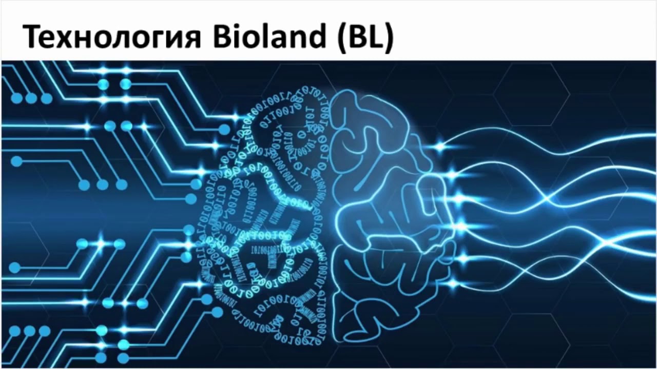 ZENWAVE – меняющий жизнь