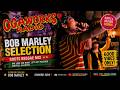 【BOB MARLEY特集】ROOTS REGGAE MIX 🔥BOB MARLEY SELECTION | OGAWORKS RADIO